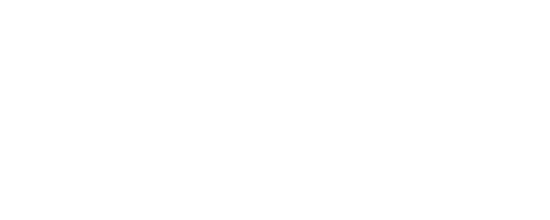 Dummy Flight Ticket Service Logo